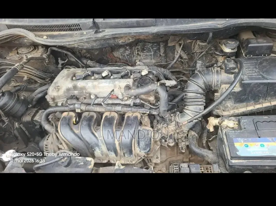 Toyota Corolla 2005 Gris