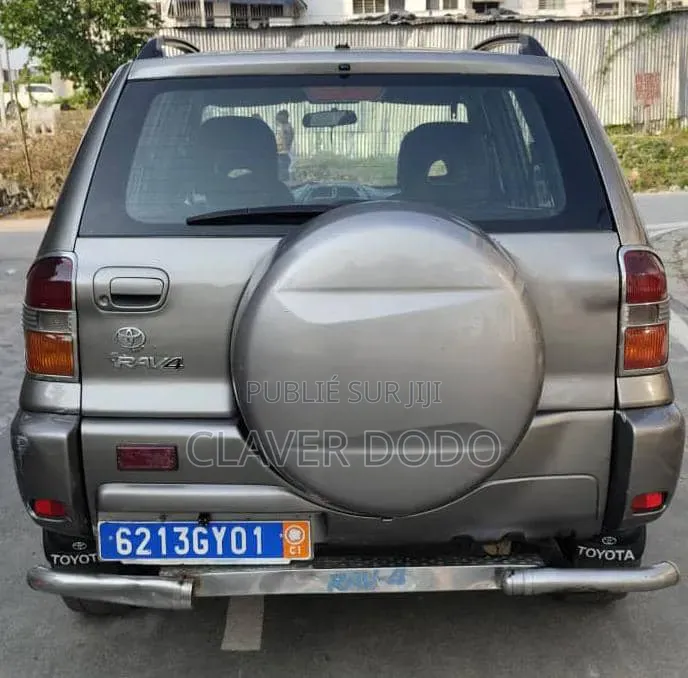 Toyota RAV4 2002 Gris