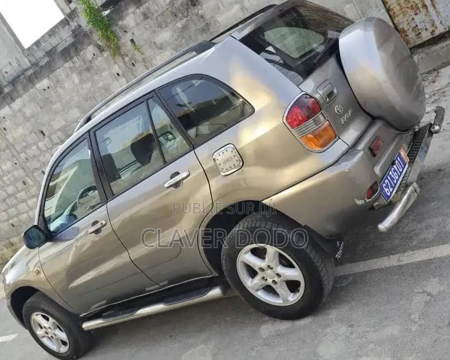 Toyota RAV4 2002 Gris