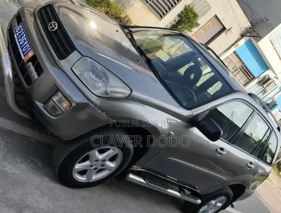Toyota RAV4 2002 Gris
