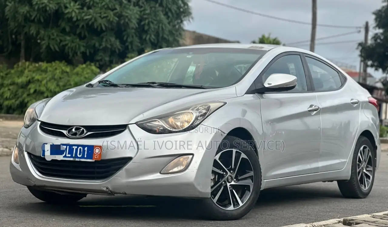 Hyundai Elantra 2014 Gris