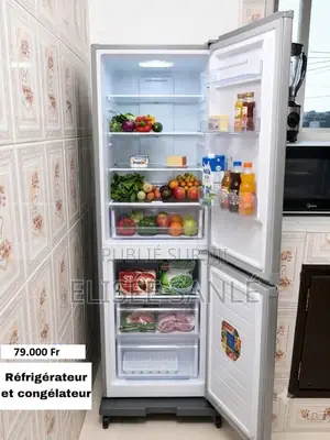 Réfrigérateur Smart Lite 220 Litres