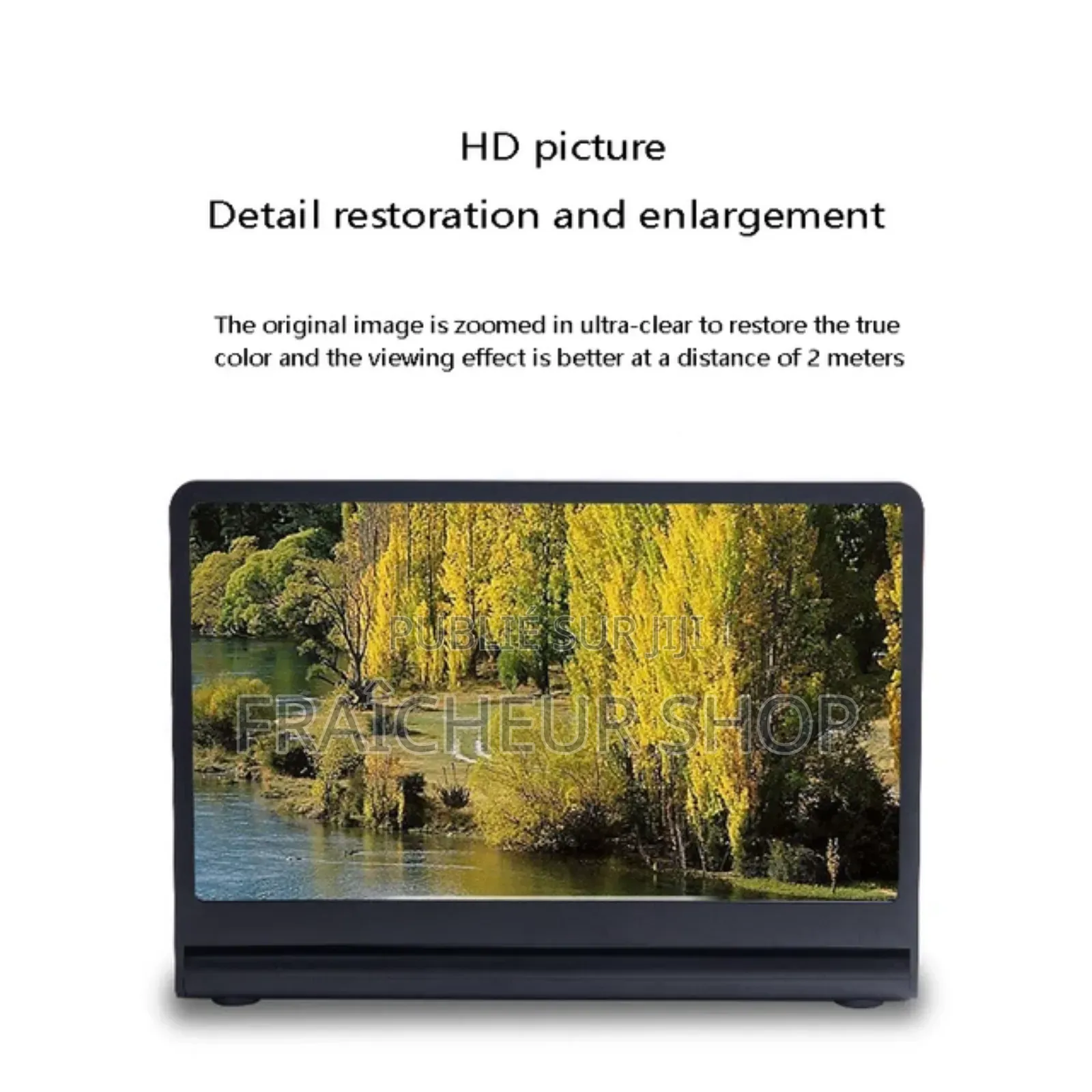 Amplificateur d'Écran Portable