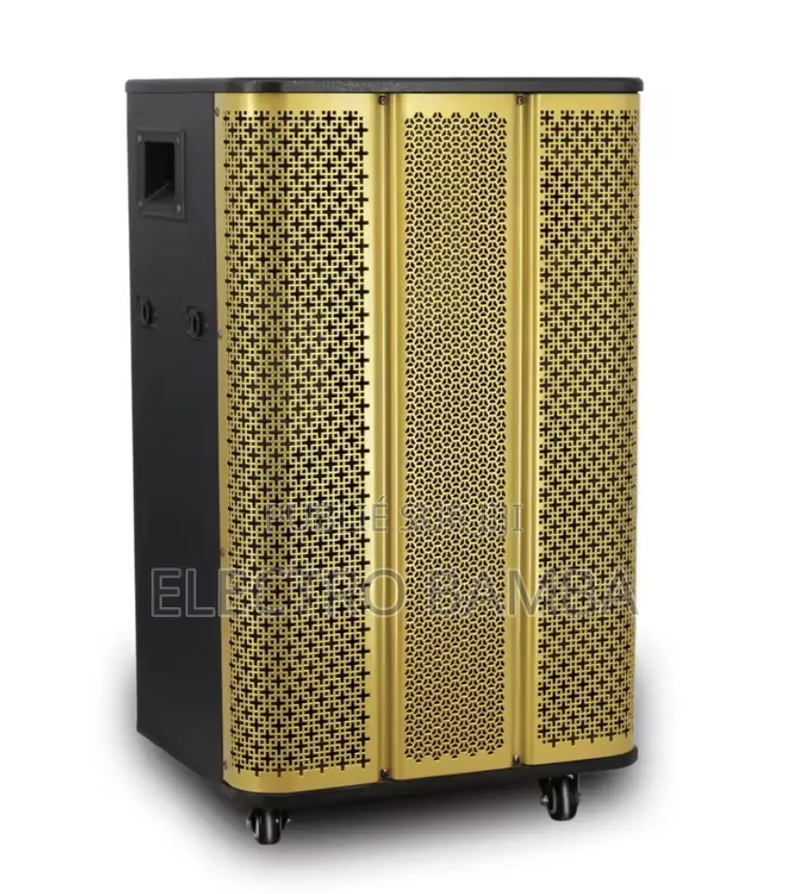 Haut Parleur Avec 2micro 15000W