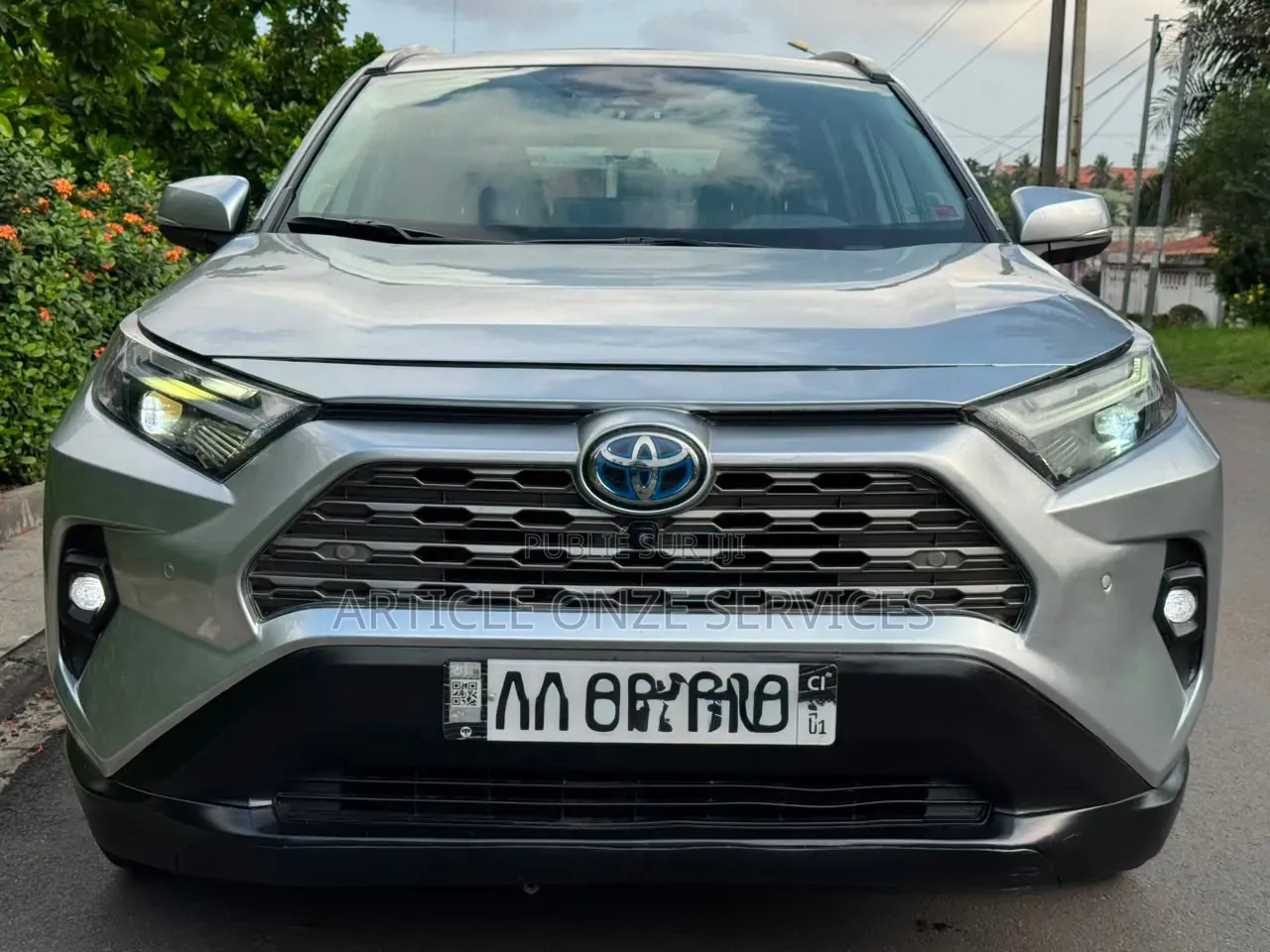 Toyota RAV4 2023 Gris