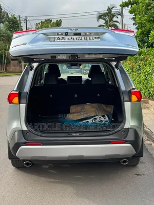 Toyota RAV4 2023 Gris