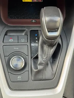 Toyota RAV4 2023 Gris