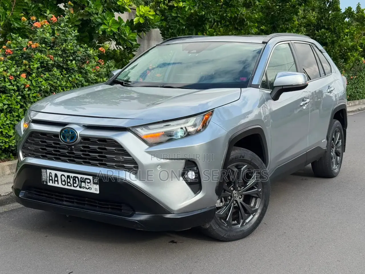 Toyota RAV4 2023 Gris