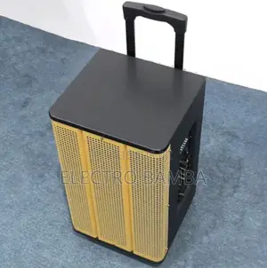 Haut Parleur Avec 2 Micro 12000W