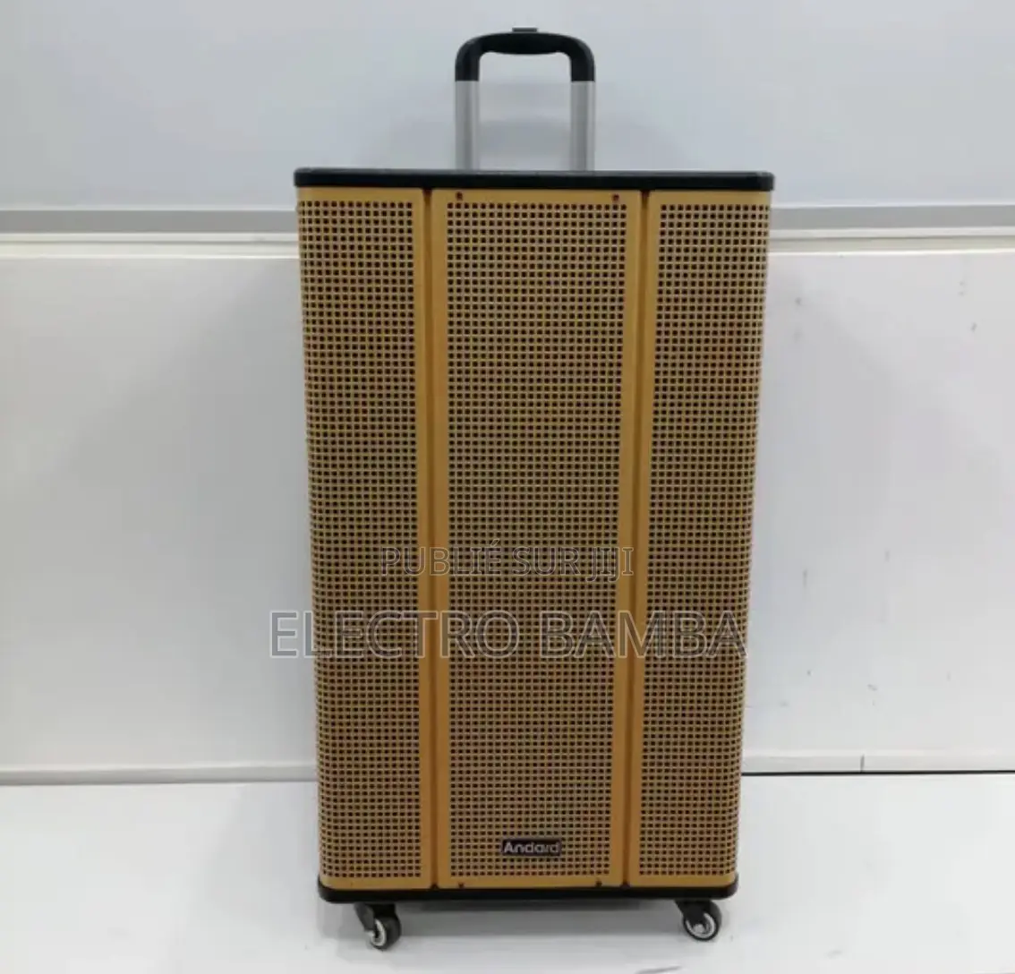 Haut Parleur Avec 2 Micro 12000W