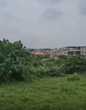 En VENTE Localisation : Zone Du Palais Synatrésor