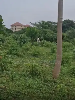 En VENTE Localisation : Zone Du Palais Synatrésor