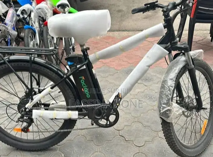Vélo Électrique