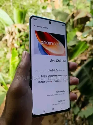 Nouveau Vivo X60 128 GB Autre