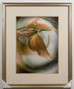 Plusieurs Tableaux Décoratifs Importés