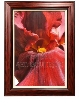 Plusieurs Tableaux Décoratifs Importés