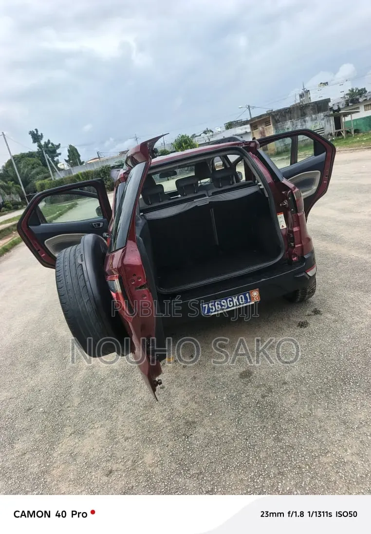 Ford Ecosport 2017 Rouge