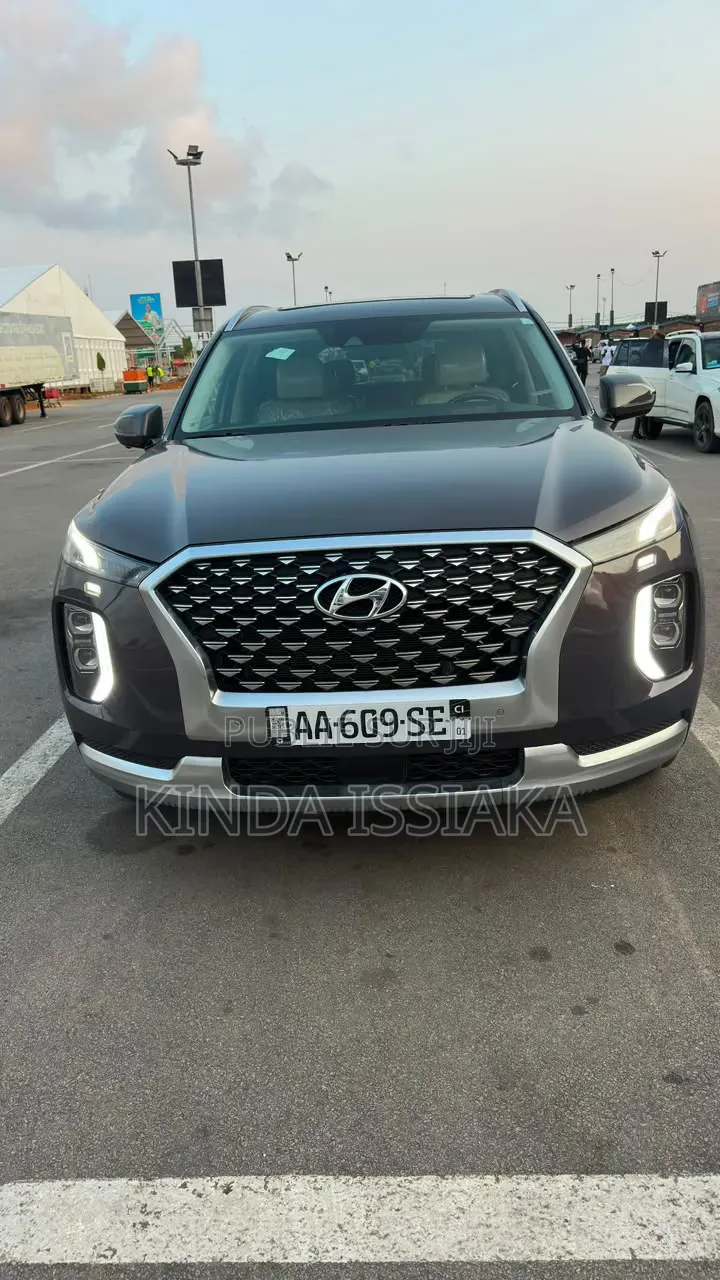 Hyundai Palissade 2021 Gris