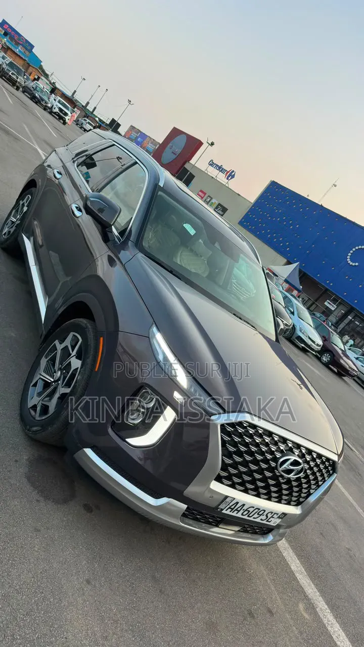 Hyundai Palissade 2021 Gris