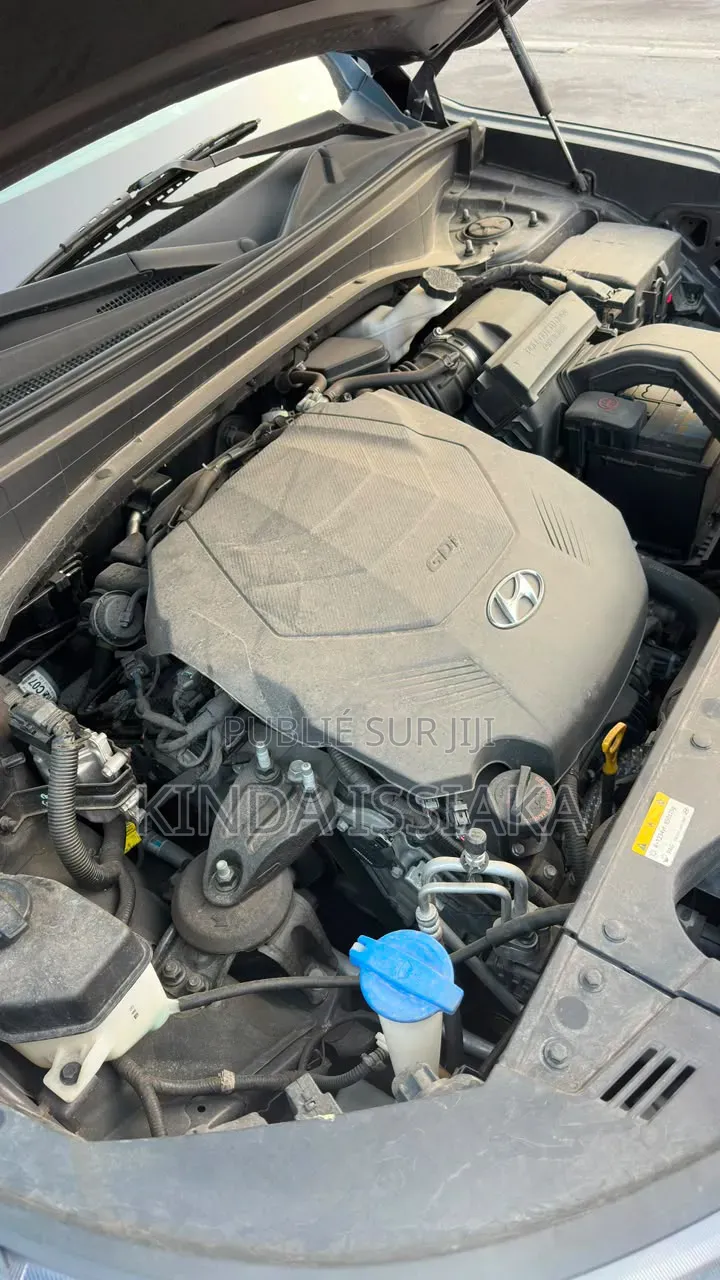 Hyundai Palissade 2021 Gris