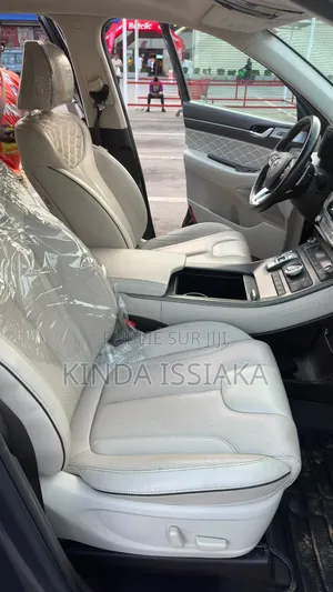 Hyundai Palissade 2021 Gris