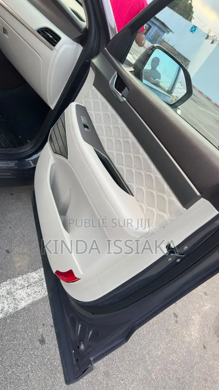 Hyundai Palissade 2021 Gris