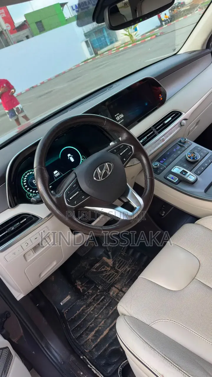 Hyundai Palissade 2021 Gris