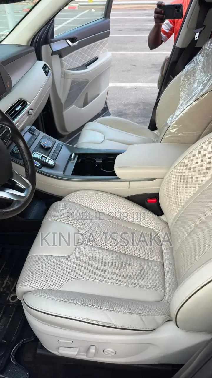 Hyundai Palissade 2021 Gris