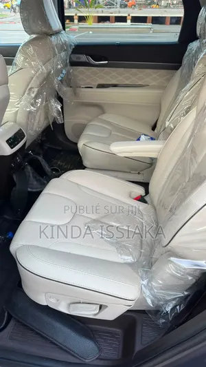 Hyundai Palissade 2021 Gris