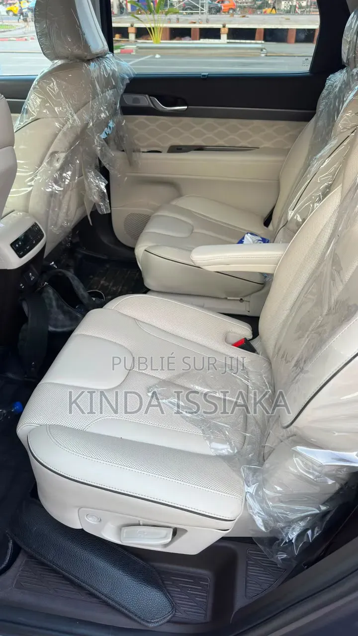 Hyundai Palissade 2021 Gris