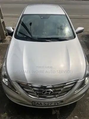 Hyundai Sonata 2010 Gris