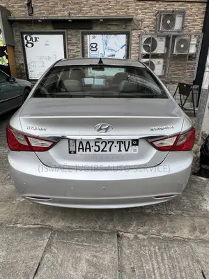 Hyundai Sonata 2010 Gris