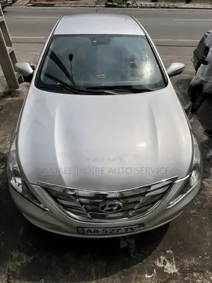 Hyundai Sonata 2010 Gris