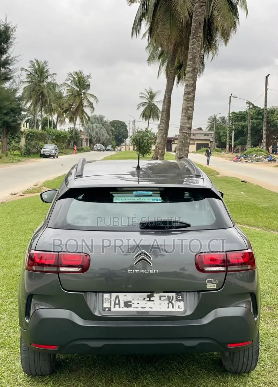 Citroen C4 2024 Gris