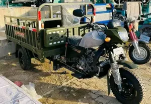 Nouveau Apsonic AP150ZH-175 2024 Vert