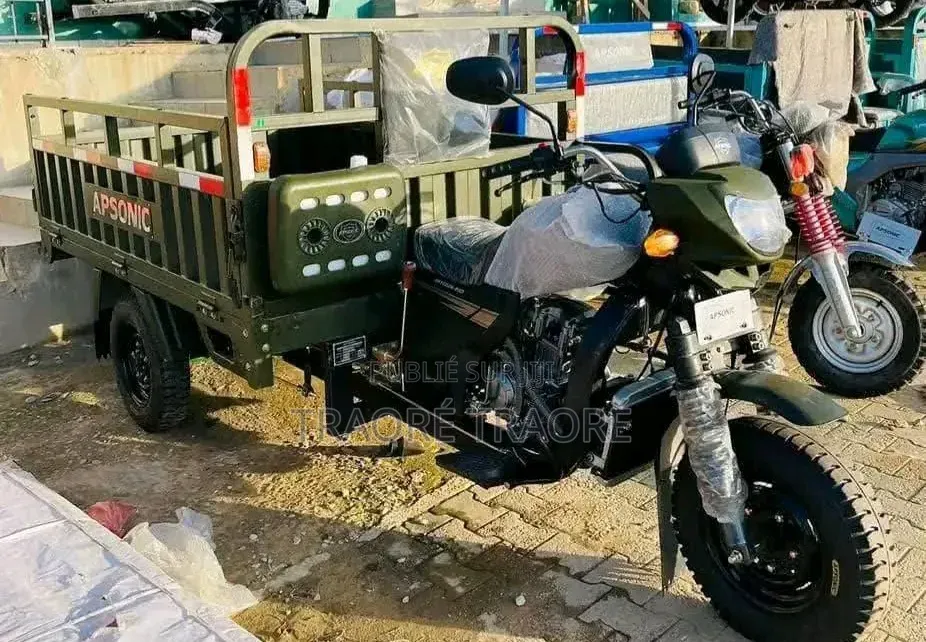 Nouveau Apsonic AP150ZH-175 2024 Vert