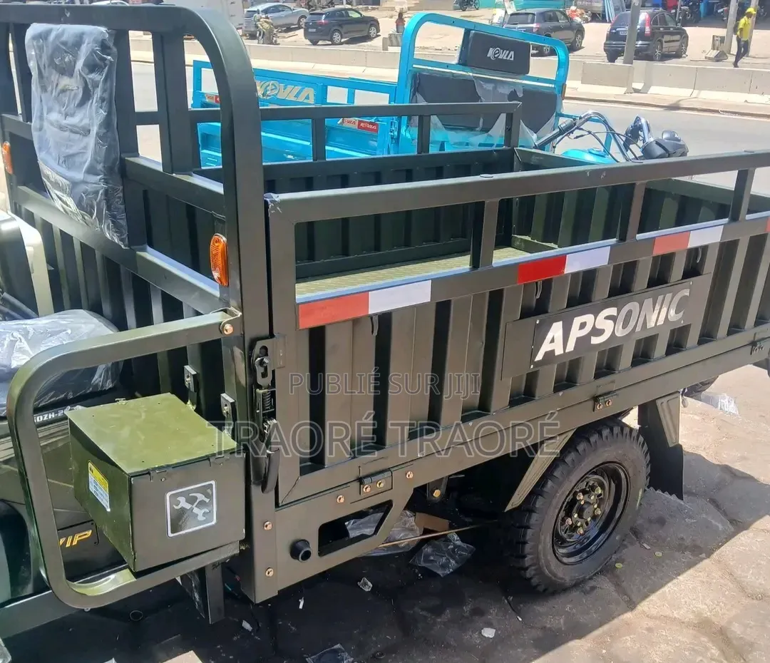 Nouveau Apsonic AP150ZH-175 2024 Vert