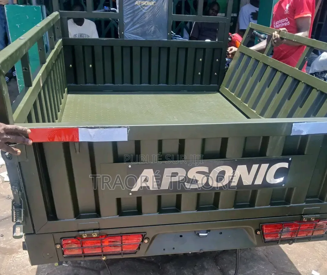 Nouveau Apsonic AP150ZH-175 2024 Vert