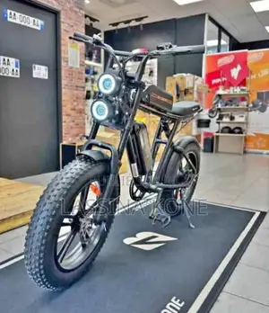 Vélo Électrique