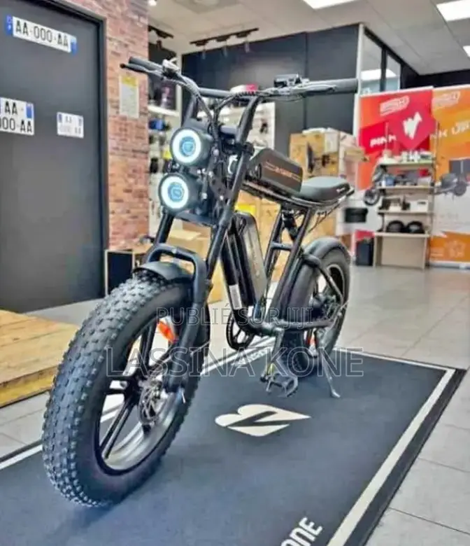 Vélo Électrique
