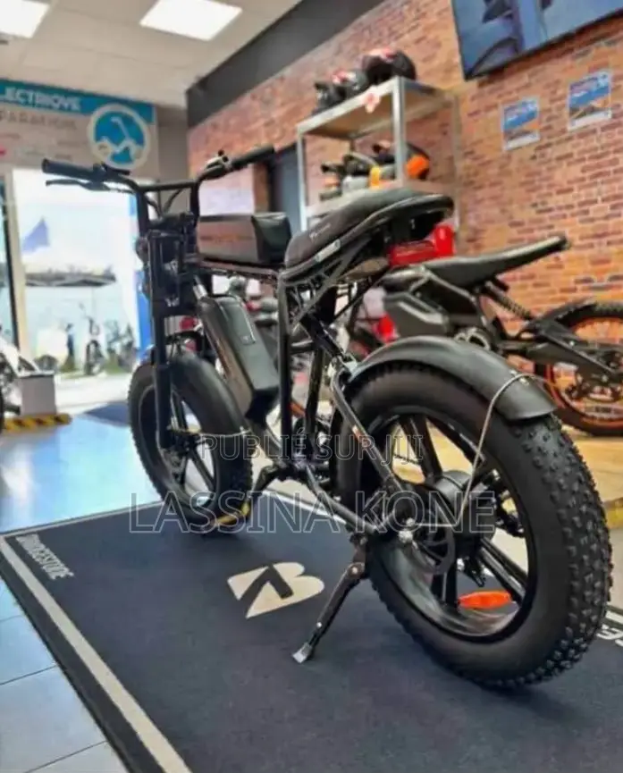 Vélo Électrique