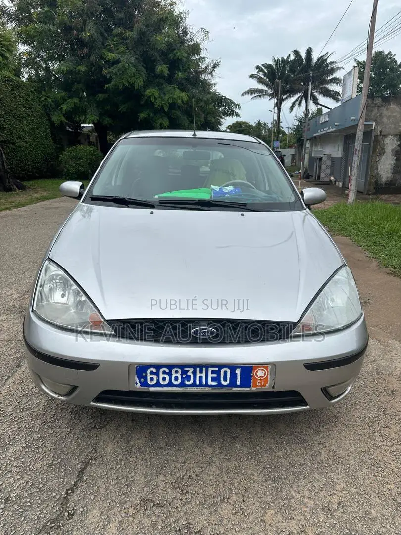 Ford Focus 2002 Gris