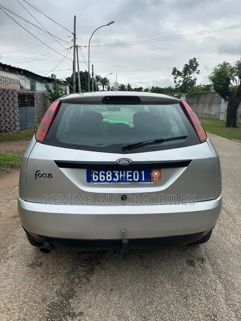 Ford Focus 2002 Gris