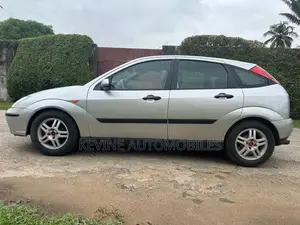 Ford Focus 2002 Gris