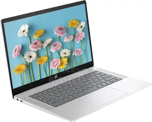 Ordinateur portable HP Chromebook 4GB Intel Core i3 SSD 256GB