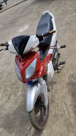 Nouveau Apsonic AP150ZH-200 2024 Autre