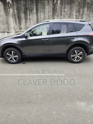 Toyota RAV4 2017 Gris