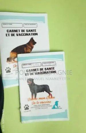 3-6 mois Femme Race mixte Belgian Malinois
