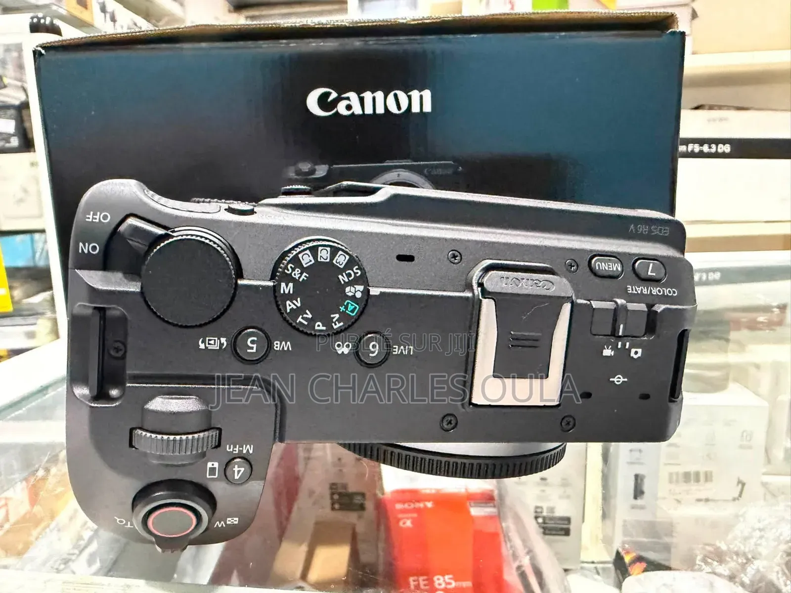 Canon Eos R6 v Boitier Nu