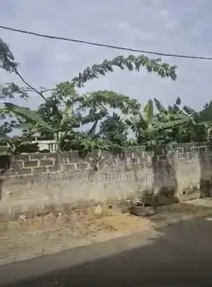 Marché Direct Avec Le Propriétaire Cocody